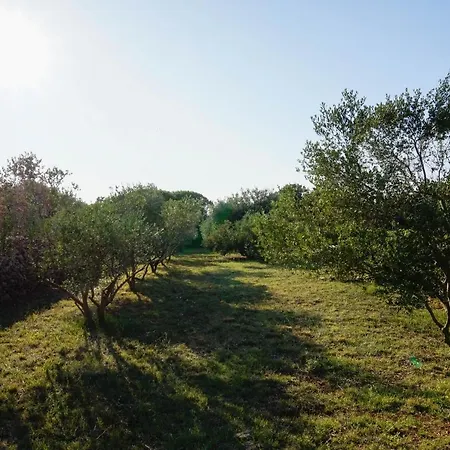 Vila Auf Der Insel Vir, 2 Pools, Sehr Privat, Ideal Fuer Familien *